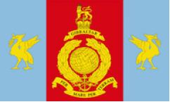 Royal Marines Reserve Merseyside Flags